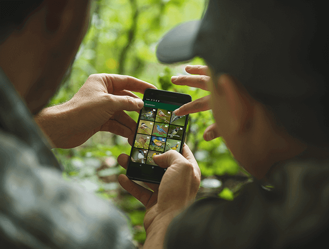 Swarovski dG 8x25 Slimme Verrekijker Demoversie - Afbeelding 7