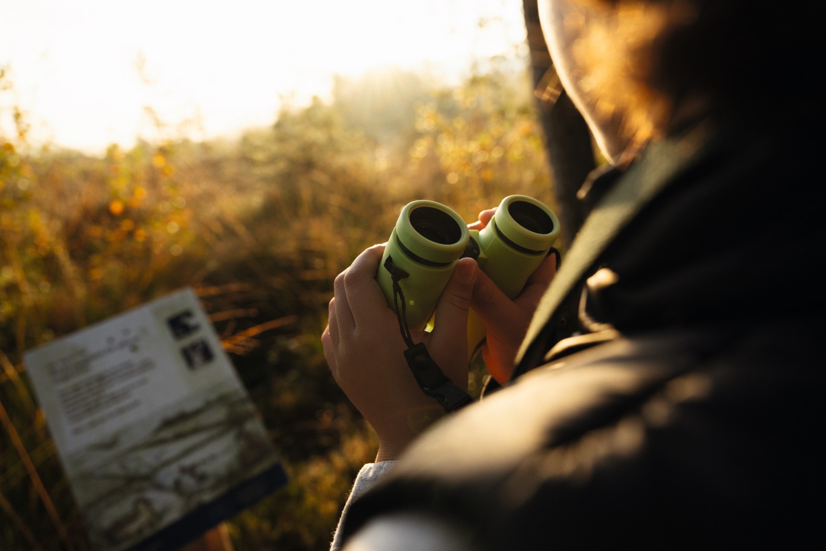 Swarovski MY Junior 7x28 (Jungle Green) - Afbeelding 4